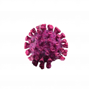 purple-cell-png