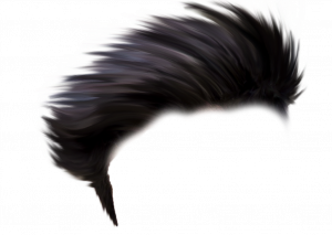 hair-style-png